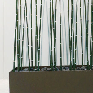 Equisetum in Custom Rectangle Planter