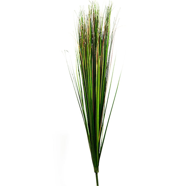 Onion Grass Bush, green