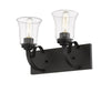 Halliwell  2 Light Vanity in Bronze Finish