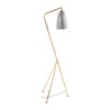 Magnus Floor Lamp - Dark Grey/Brass