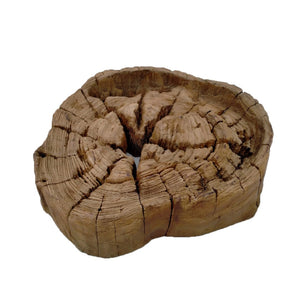 Teak Branch Wall Hanging
