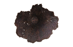 Jagged Splash Bowl Wall Art, Oxidized Copper Finish