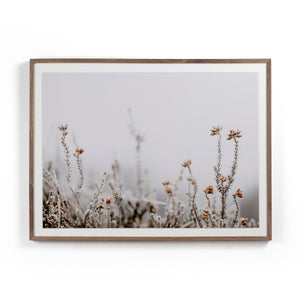 In The Details Ii By Annie Spratt