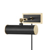 Holly Plug-in Picture Light
