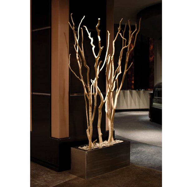 Redwood, Sandblasted 6'H
