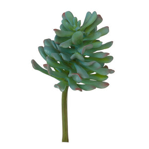 Dusty Sedum 6.5"