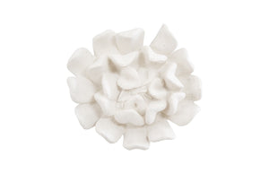 Topsy Turvy Succulent Wall Art , White Stone