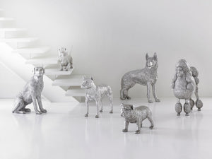 Poodle Dog, Silver Leaf