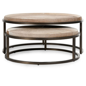Hayword Nesting Coffee Tables Set of 2 with Hide Tops