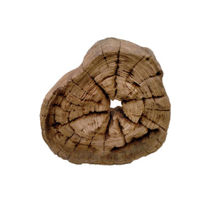Teak Branch Wall Hanging