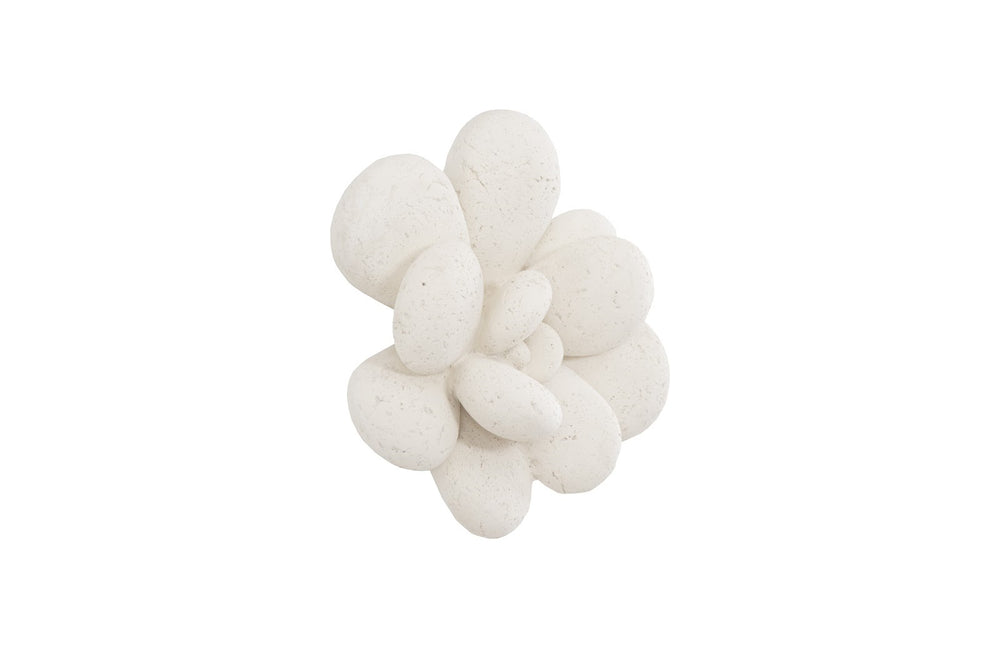 Oviferum Succulent Wall Art , White Stone