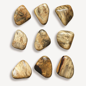 Pebbles Blonde Wood Wall Décor, S/9
