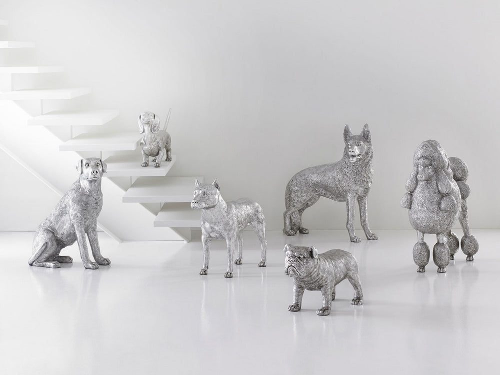 German Shepherd Dog, Silver Leaf
