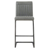 Ronan Counter Stool In Antique Graphite Gray
