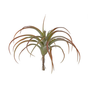 Tillandsia LG 12"D Bronze