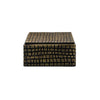 SMALL BRASS ALUMINUM BOX WITH REPTILE TEXTURE