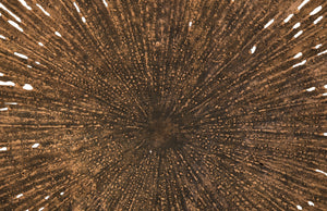 Lotus Wall Art, Copper/Black, Medium