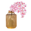 Spotted Phalaenopsis Orchids in Ornata Vase