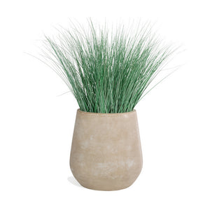 Bear Grass in Urbano Bell Fiber Clay Planter, SMAL