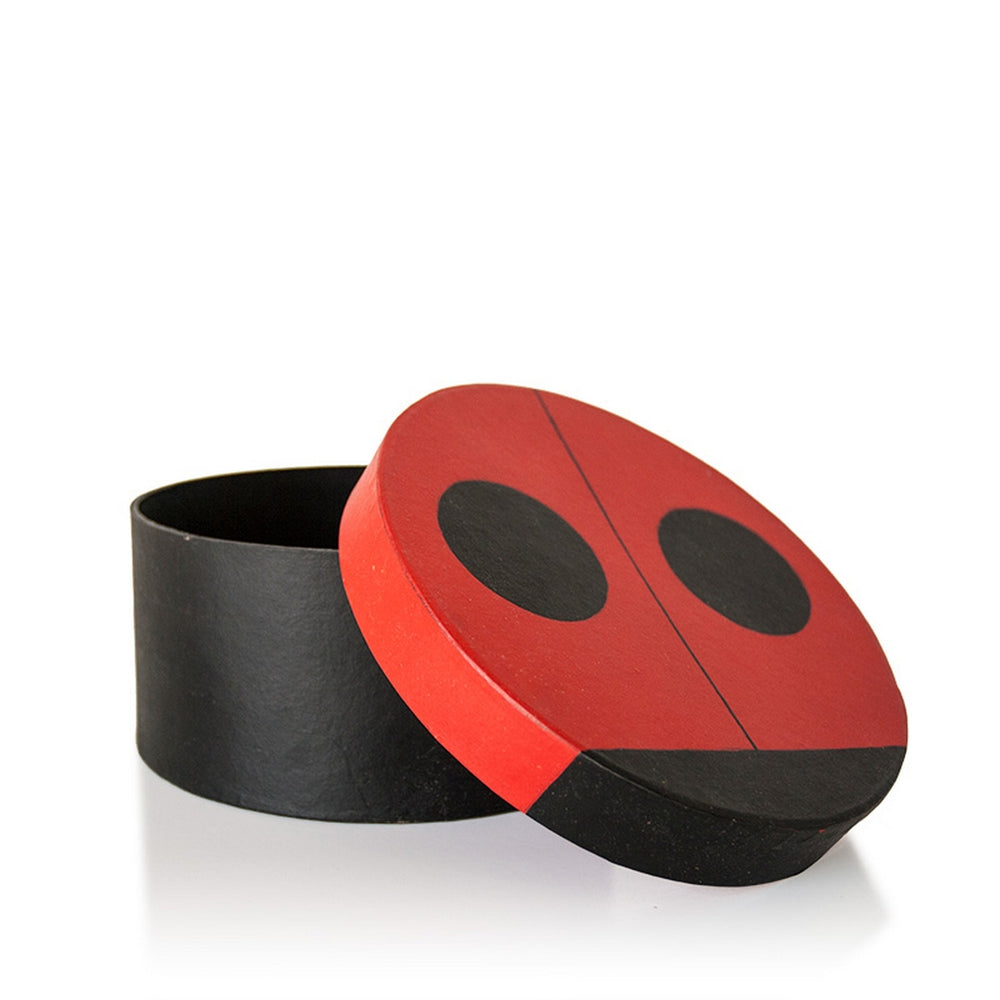 Box 6"D Ladybug Two-Spotted