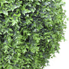 Boxwood Ball