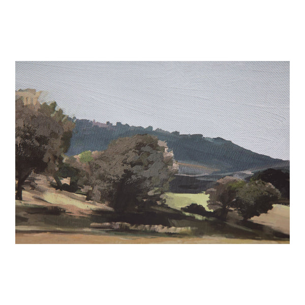 Vast Country Framed Painting with Multicolor Design