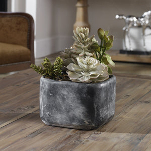 Alverio Succulents