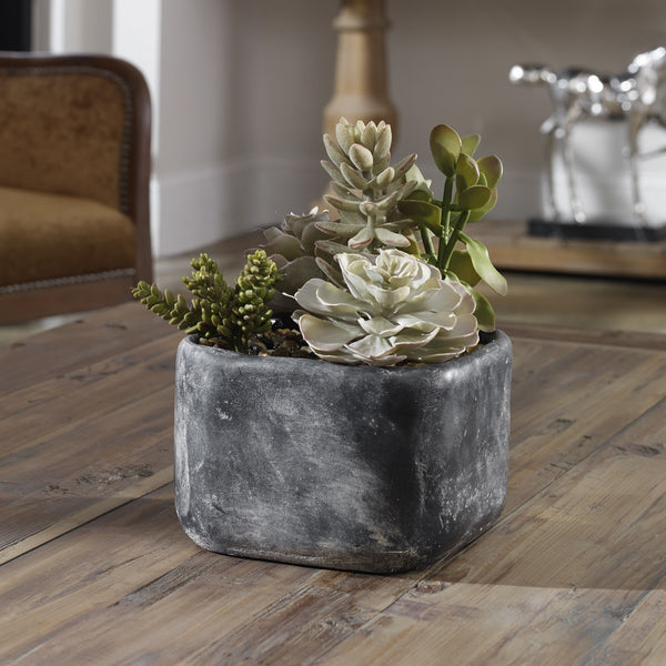 Alverio Succulents