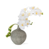 Vortex Vase with White Phalaenopsis Orchid
