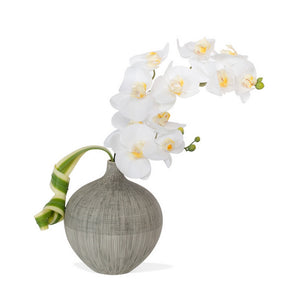 Vortex Vase with White Phalaenopsis Orchid
