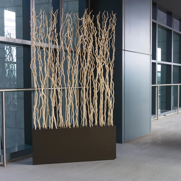 Bleached Kuwa in Rectangle Planter