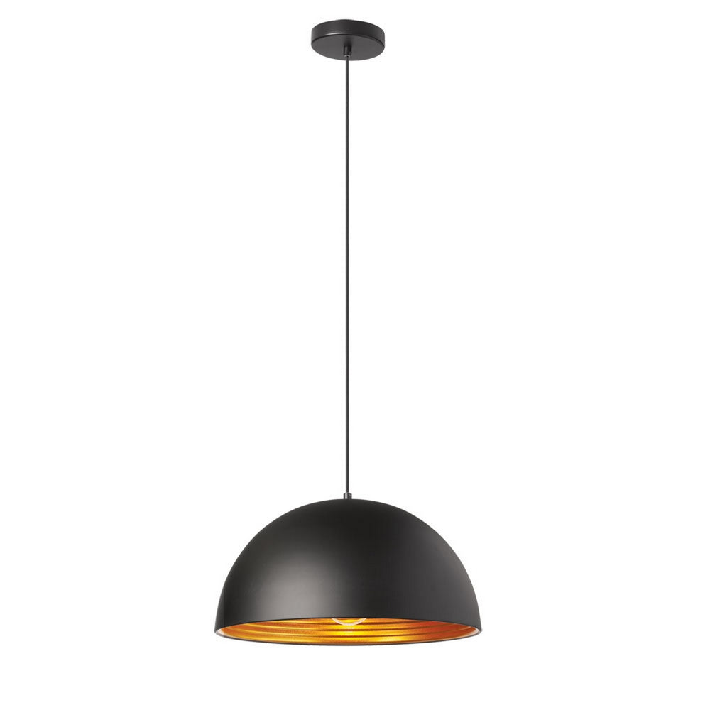 1LT Pendant,Aluminum