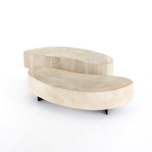 Avett Coffee Table In Bleached Guanacaste