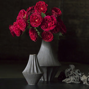 Raven Porcelain Vases