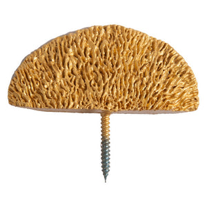 Shelf Mushroom Wall Play, Set of 2, Gold Painted