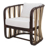 Shanaya Rattan Accent Arm Chair, Paloma Brown