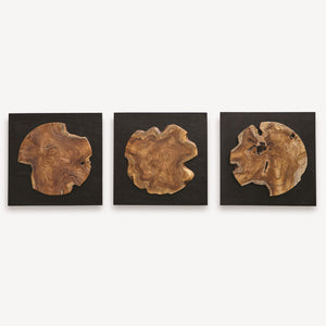 Kolini Teak Wood Wall Decor, S/3