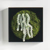 Mini Green Wall 12"SQ Burro's Tail