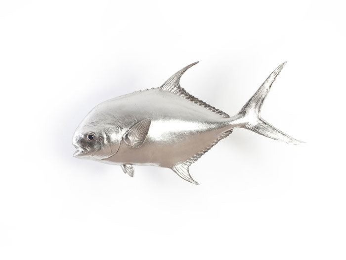 Permit Fish, Silver Leaf