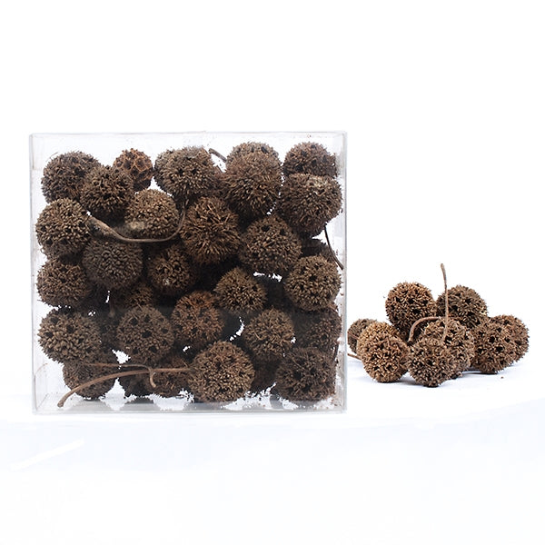 Sweetgum Balls, +/- 44 pcs