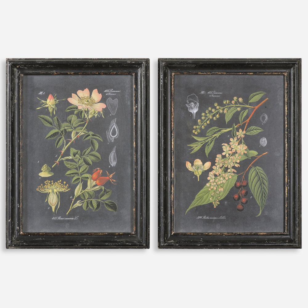 Midnight Botanicals Wall Art S/2