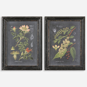 Midnight Botanicals Wall Art S/2