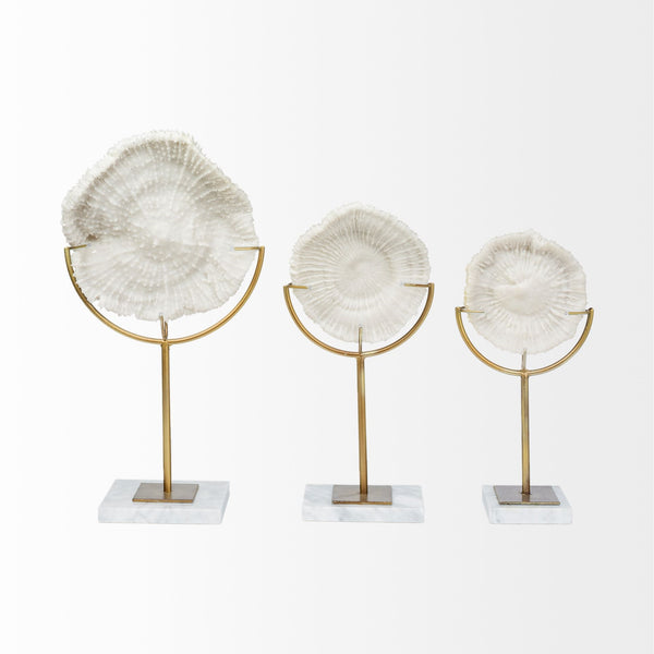 Sandy II (Medium) 6L x 3W White Coastal Sand Dollar Object