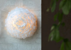 Eos Up Flushmount Ceiling or Wall Light