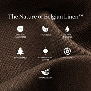 Aidan Slipcover King Bed - Brussels Coffee
