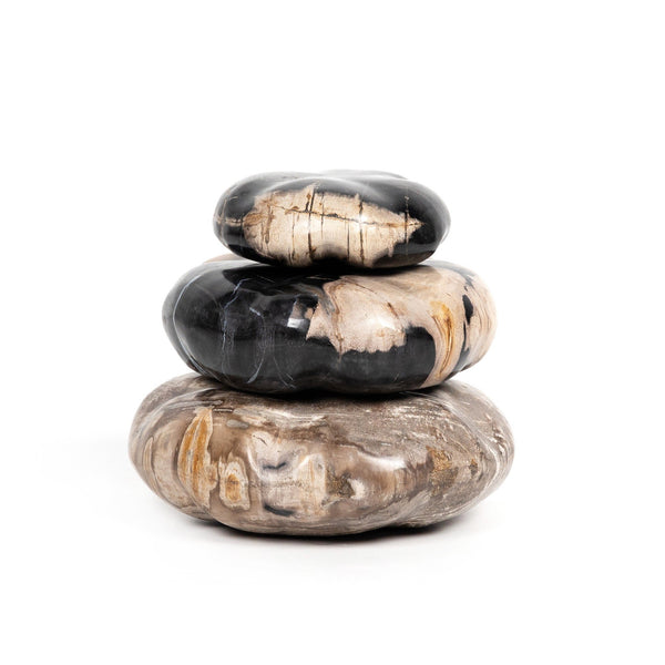 Petrified Wood Organic Sculpture, Set Of 3 - Dark Petrified Wood