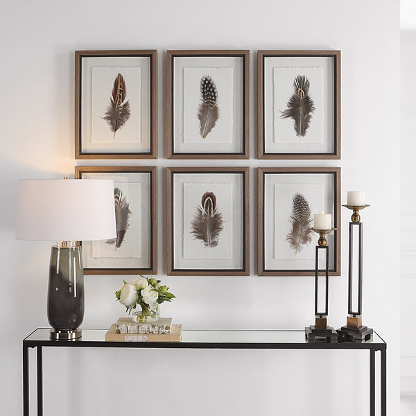 Birds Of A Feather Framed Prints, S/6