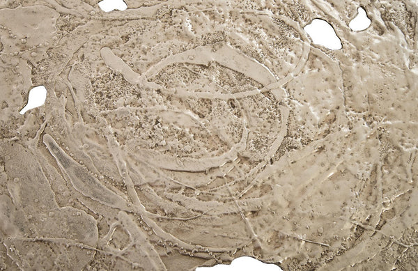 Molten Disc Wall Art, Silver Leaf, Large