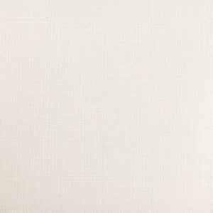 Dexter Chair In Gibson White