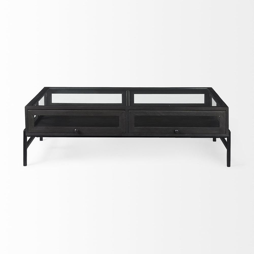 Arelius 42"L Rectangular Glass-Top Black-Brown Wood w/ Black Metal Base Display Coffee Table